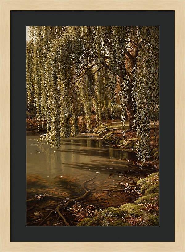 Weeping Willow Over Water