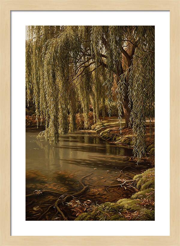 Weeping Willow Over Water