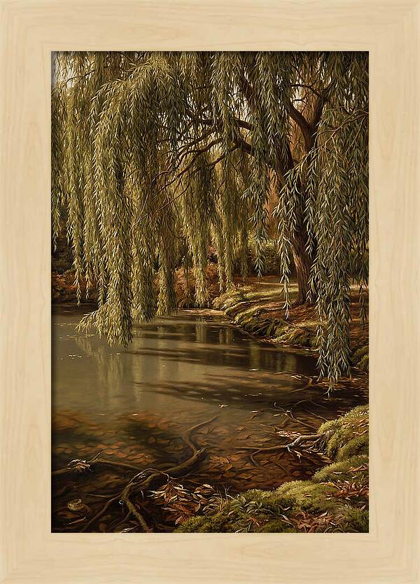 Weeping Willow Over Water