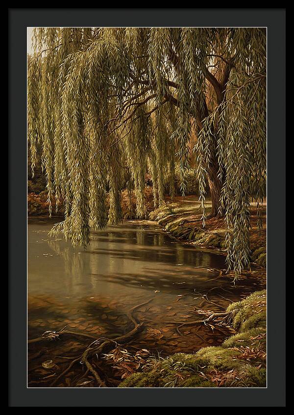 Weeping Willow Over Water