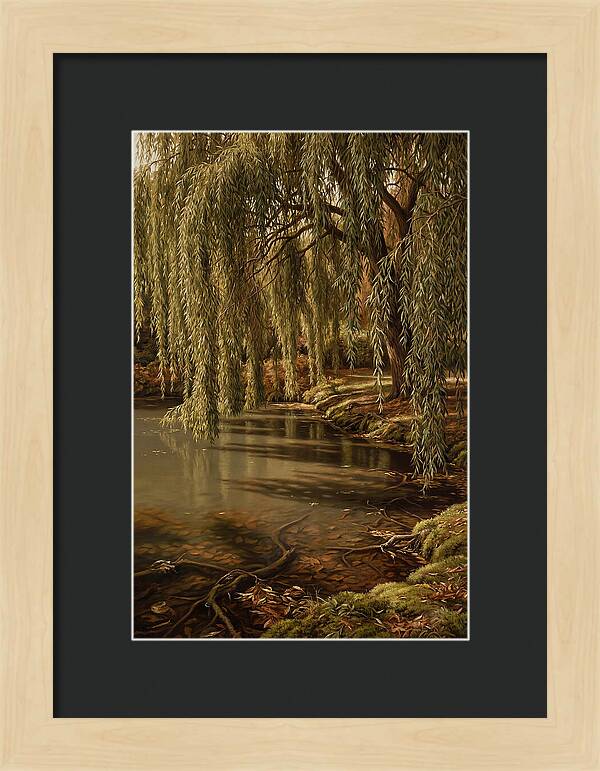 Weeping Willow Over Water