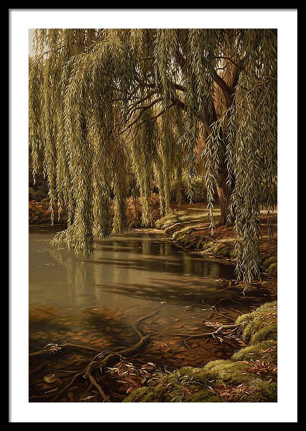 Weeping Willow Over Water
