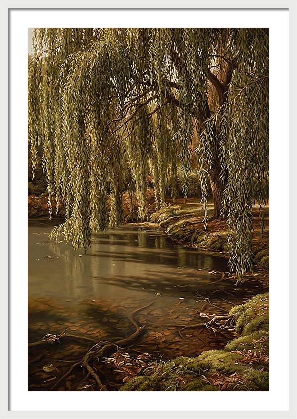 Weeping Willow Over Water
