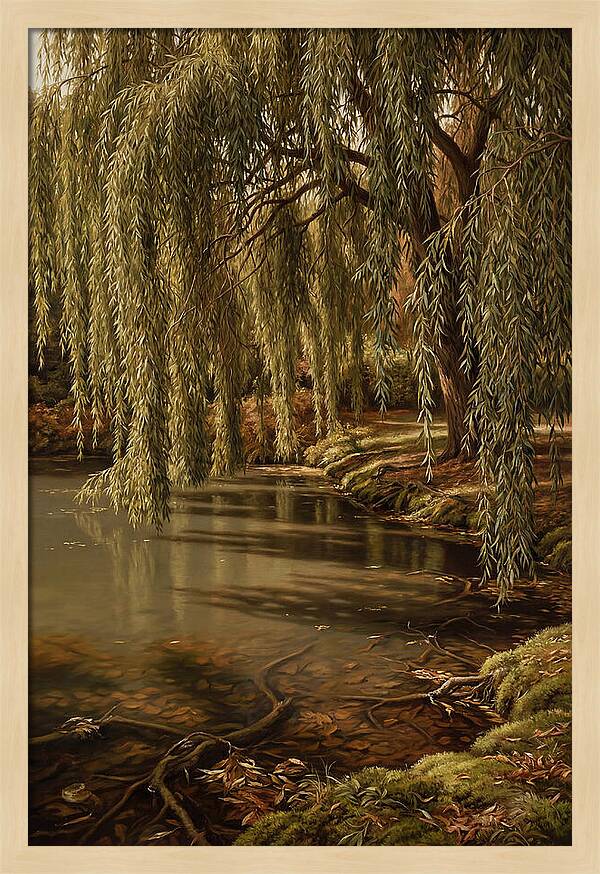 Weeping Willow Over Water
