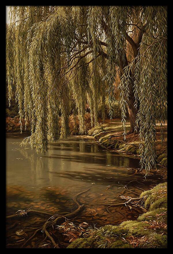Weeping Willow Over Water