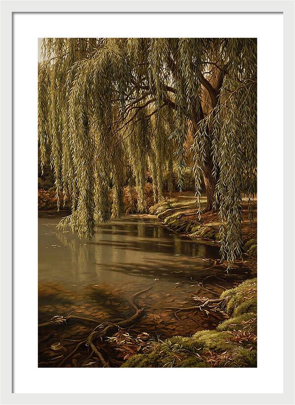Weeping Willow Over Water