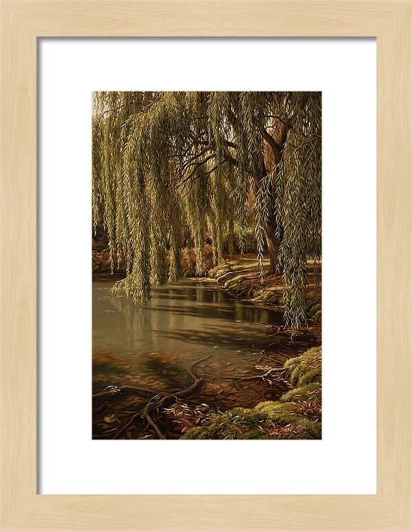 Weeping Willow Over Water