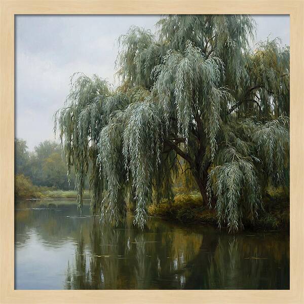 Weeping Willow Reflections