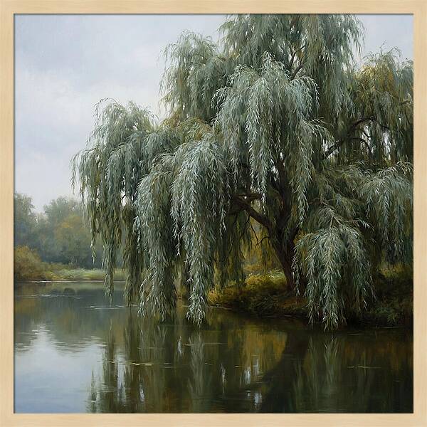 Weeping Willow Reflections