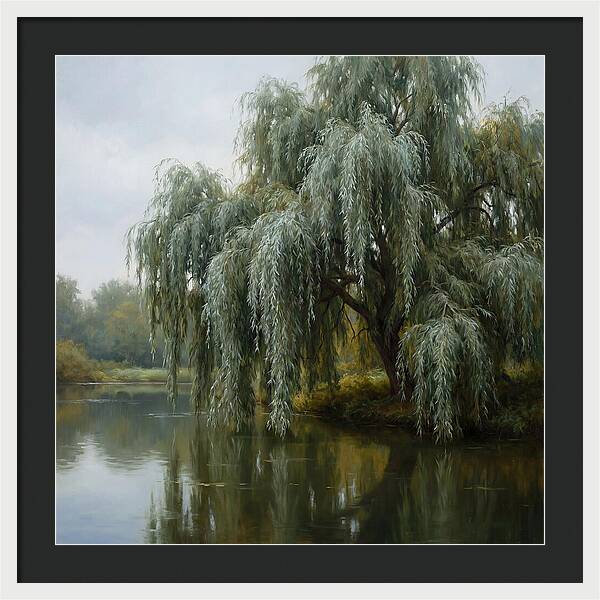 Weeping Willow Reflections