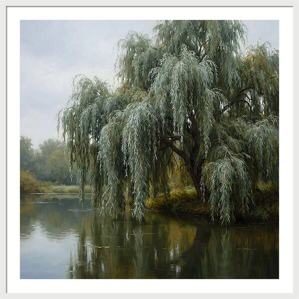Weeping Willow Reflections