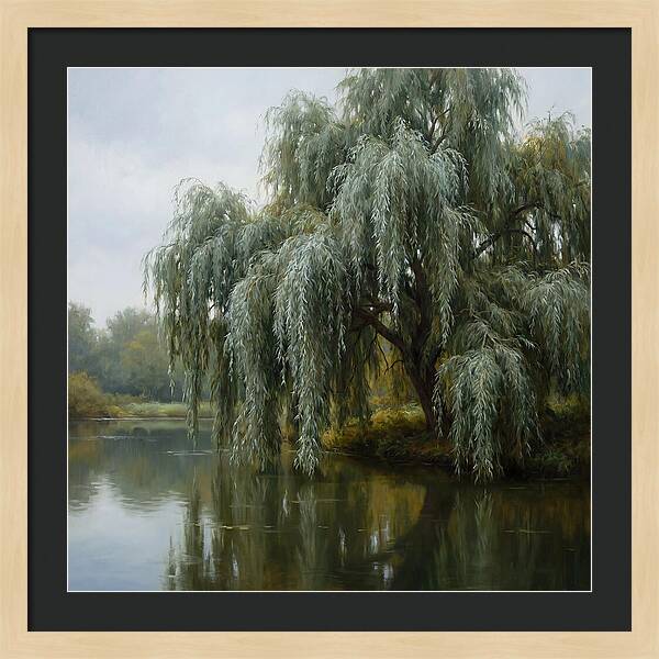 Weeping Willow Reflections