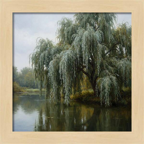 Weeping Willow Reflections
