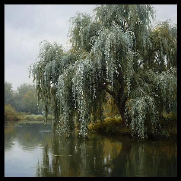 Weeping Willow Reflections