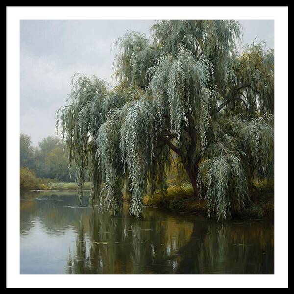 Weeping Willow Reflections