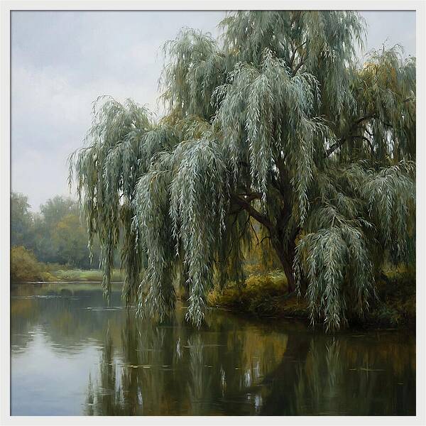 Weeping Willow Reflections
