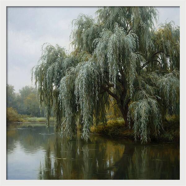 Weeping Willow Reflections
