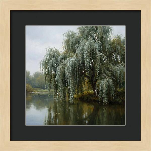 Weeping Willow Reflections