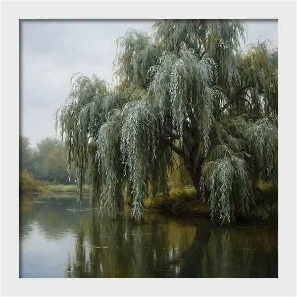 Weeping Willow Reflections