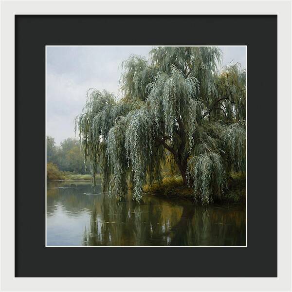 Weeping Willow Reflections