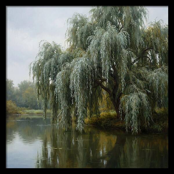 Weeping Willow Reflections