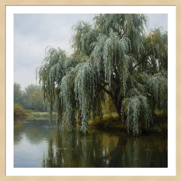Weeping Willow Reflections