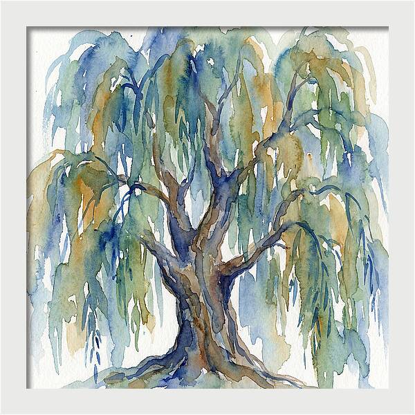 Weeping Willow Watercolor