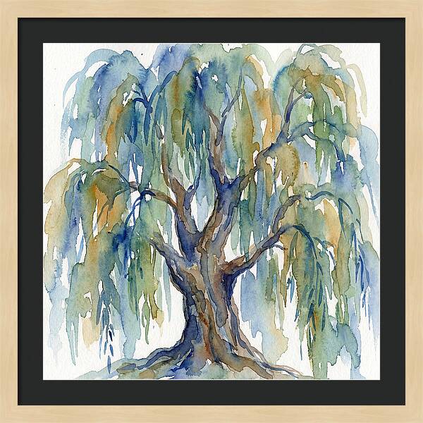 Weeping Willow Watercolor