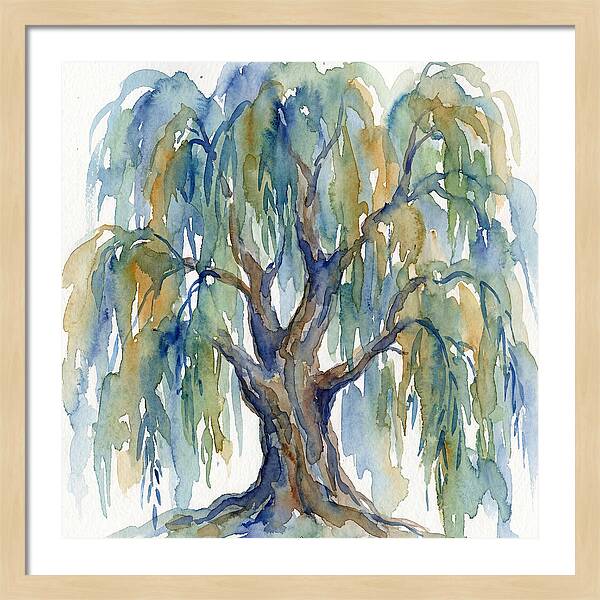 Weeping Willow Watercolor