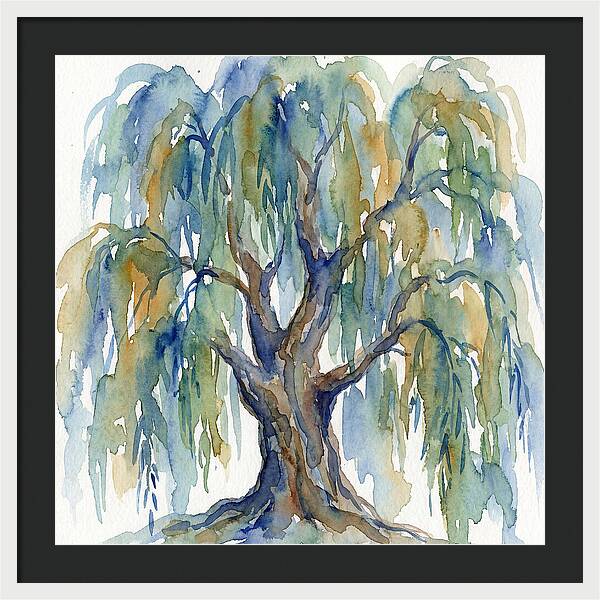 Weeping Willow Watercolor