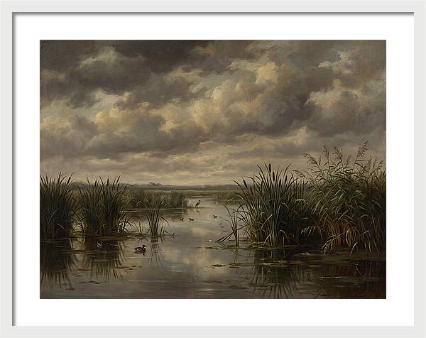 Wetlands Under Dramatic Skies