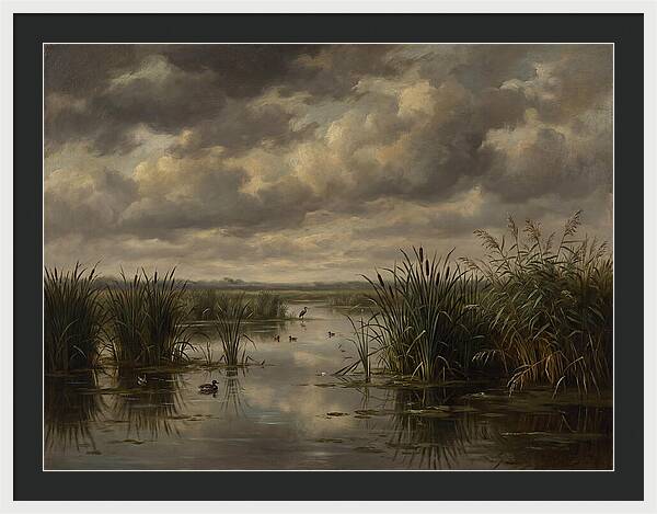 Wetlands Under Dramatic Skies