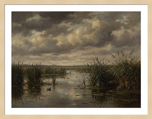 Wetlands Under Dramatic Skies