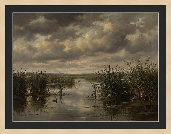 Wetlands Under Dramatic Skies