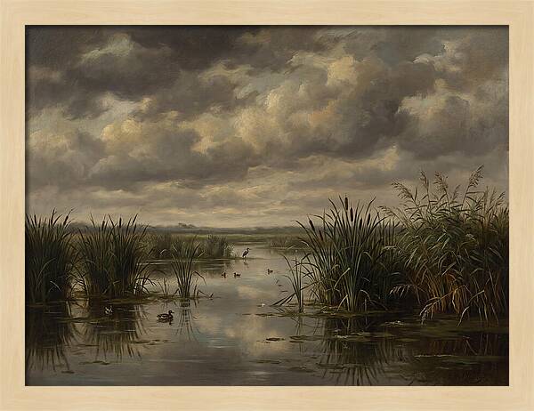 Wetlands Under Dramatic Skies