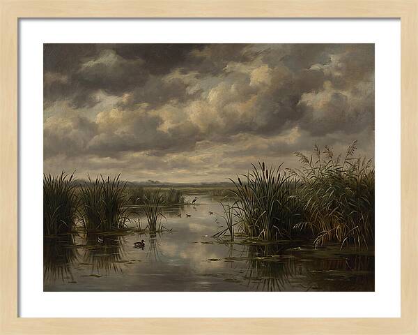 Wetlands Under Dramatic Skies