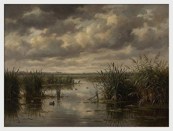 Wetlands Under Dramatic Skies