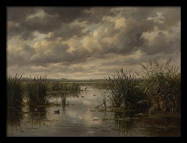 Wetlands Under Dramatic Skies