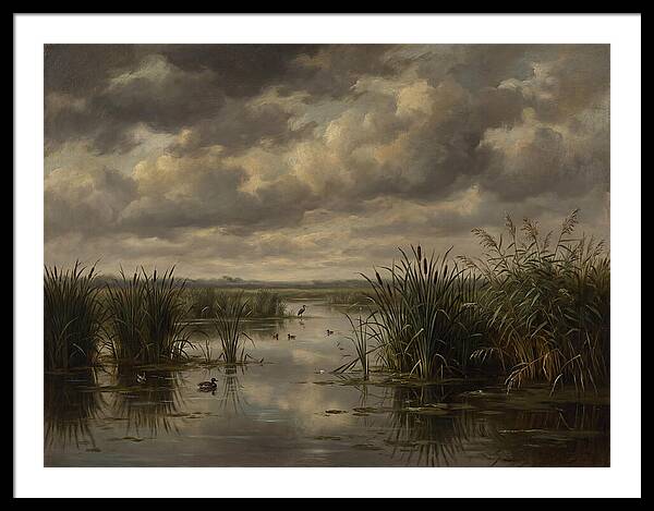 Wetlands Under Dramatic Skies