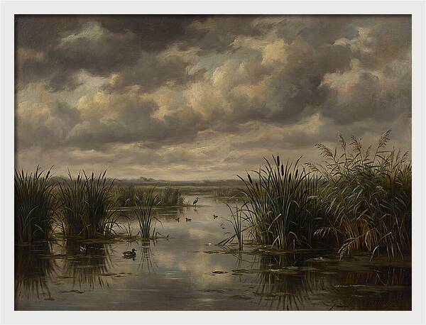 Wetlands Under Dramatic Skies