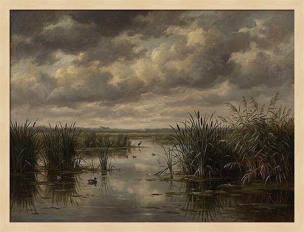 Wetlands Under Dramatic Skies
