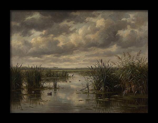 Wetlands Under Dramatic Skies
