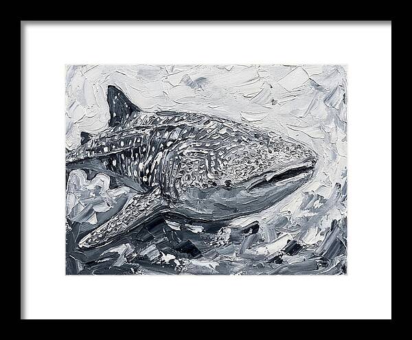 Whale Shark In Monochrome