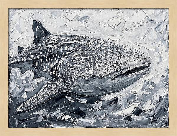Whale Shark In Monochrome