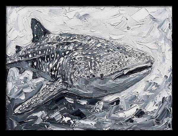 Whale Shark In Monochrome