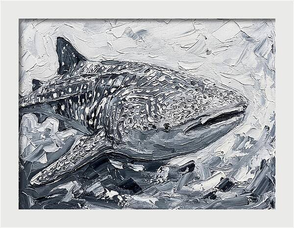 Whale Shark In Monochrome