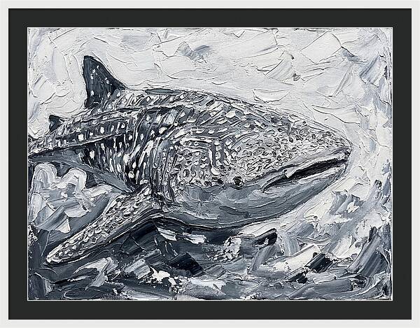 Whale Shark In Monochrome