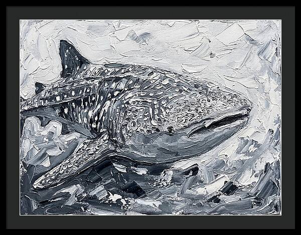 Whale Shark In Monochrome