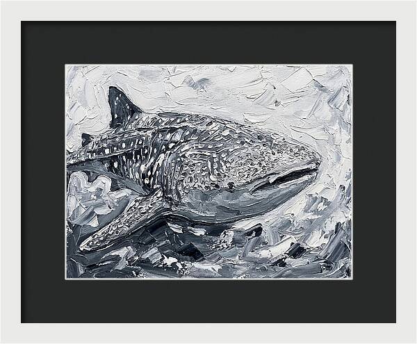 Whale Shark In Monochrome