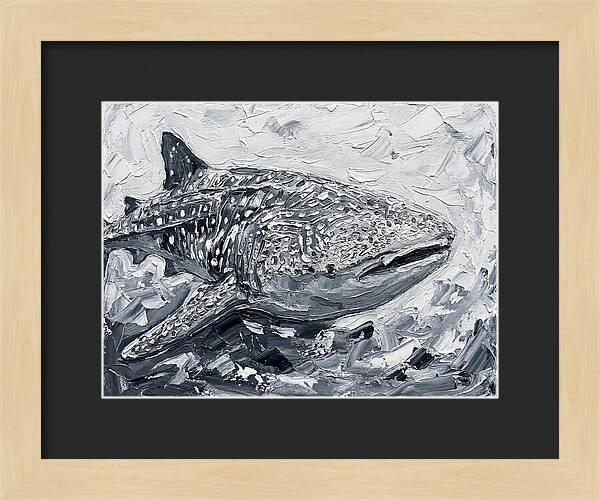 Whale Shark In Monochrome